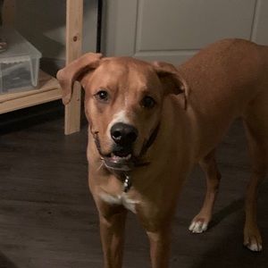 Meet your Posher, Jordan